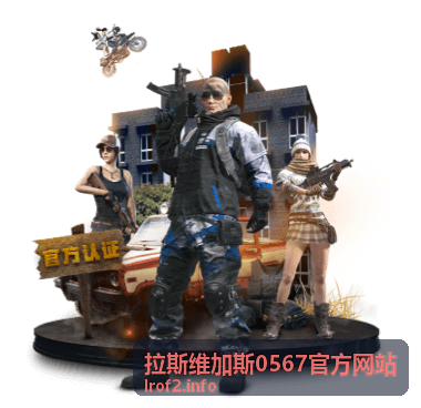 拉斯维加斯直升机夜游高空视角